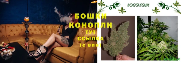 гашик Новозыбков