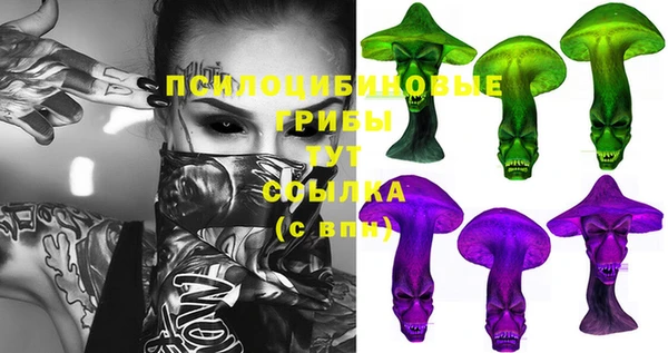 гидра Алзамай