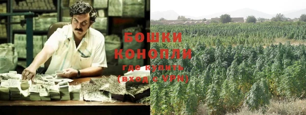 бошки Алексин