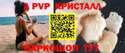 амф Гусев