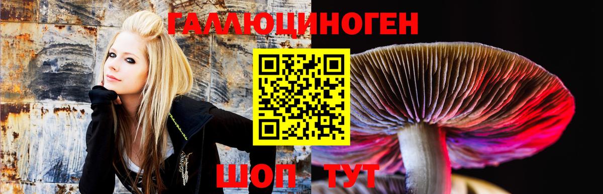 Галлюциногенные грибы Psilocybine cubensis Серов
